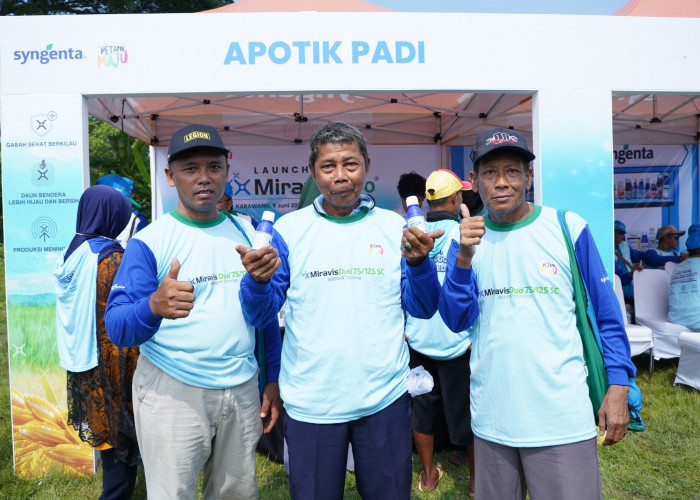 MIRAVIS Duo Bantu Petani Karawang Tingkatkan Produktivitas dan Kualitas Gabah