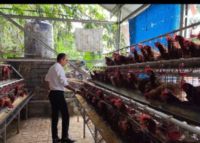 Program Ketapang Desa Serang Penuhi Kebutuhan Masyarakat 