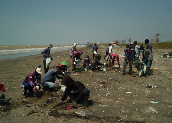 Ceceran Minyak Kotori Pesisir Karawang, Warga dan DLH Turun Bersihkan Pantai