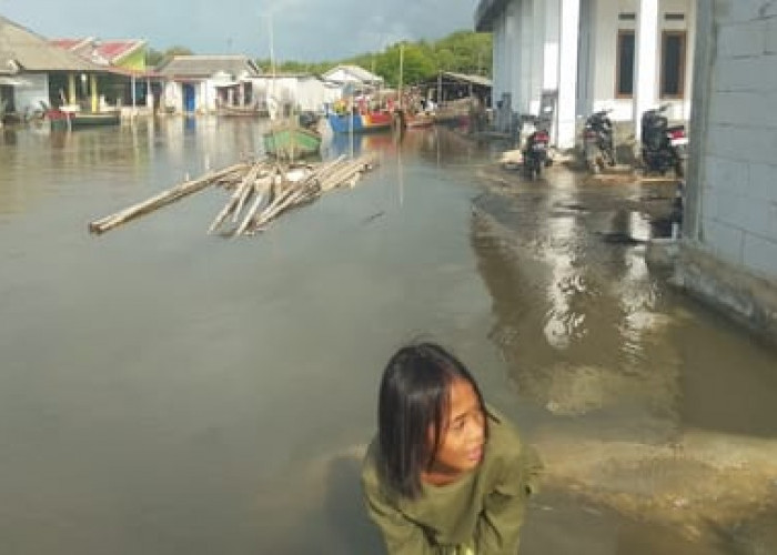 Cuaca Ekstrim, 5 Desa di Muaragembong Terendam Banjir Rob