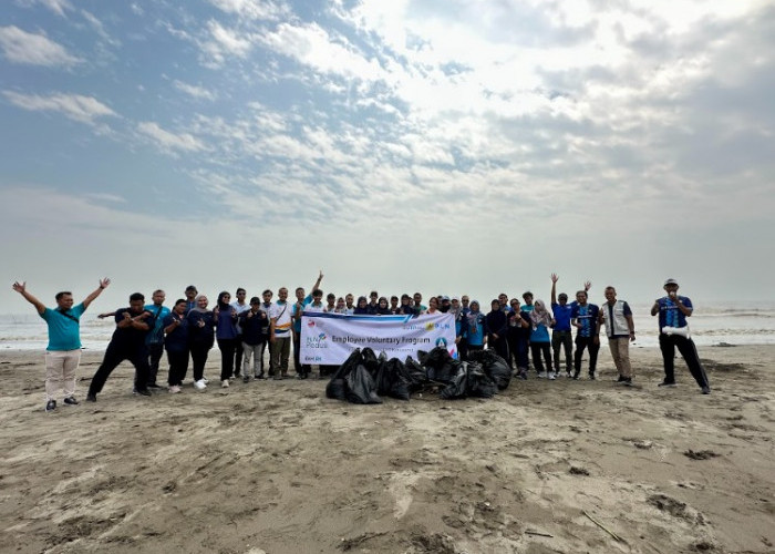 Relawan Pegawai PLN UP3 Karawang Bersih-bersih di Sepanjang Pantai Sedari