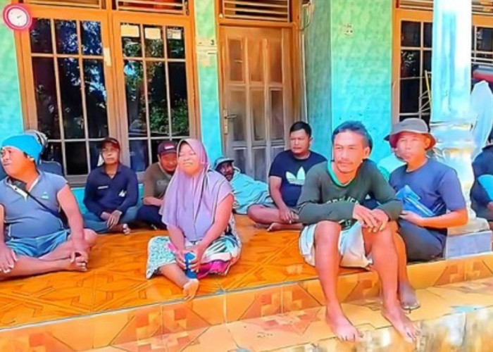 Puluhan Petani Singkong di Sukabumi Kaget Masuk Daftar Kredit Macet, Diduga Terkait Program Budidaya