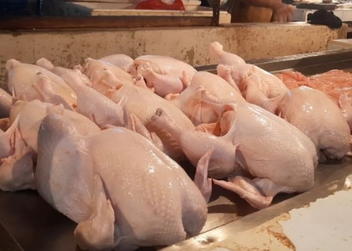 Harga Ayam Potong di Pasar Rebo Purwakarta Melonjak Tajam Jelang Ramadan, Dari Rp 32 Ribu Jadi Rp 40 Ribu/Kilo