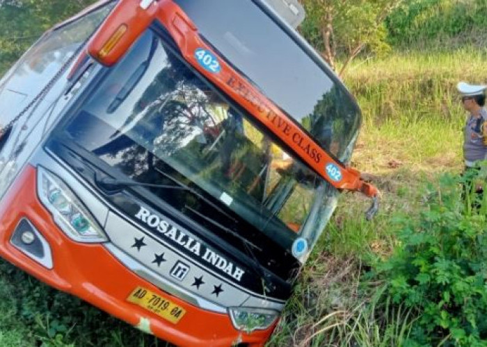 Bus Rosalia Indah Nyungsep di Batang, 7 Penumpang Tewas, Diduga Sopir Ngantuk saat Nyetir