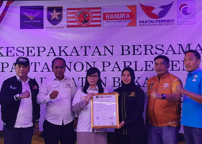 6 Partai Non Parlemen di Kabupaten Bekasi Mulai Ambil Sikap Untuk Berkompromi di Pilkada 2024