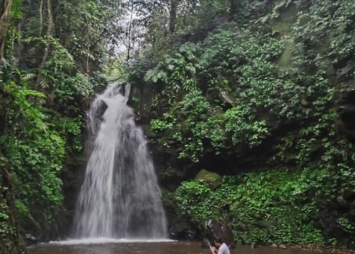 Rekomendasi 8 Wisata Curug di Kuningan dengan Panorama Alam Menyegarkan