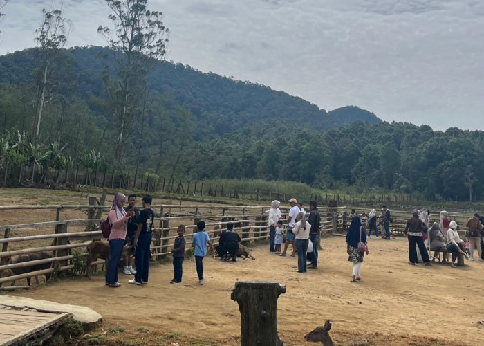 5 Fakta dan Data Lengkap Kenapa Semua Orang Suka Liburan di Bandung