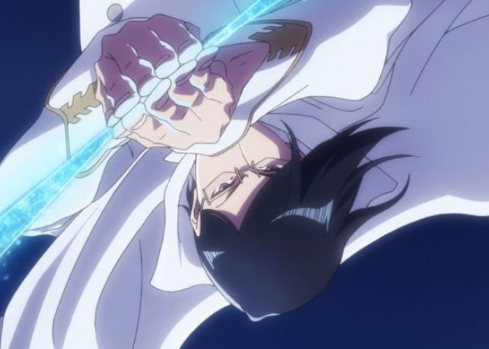 Nonton Bleach Sennen Kessen-hen Soukoku-tan episode 13 dan 14 (Finale) sub Indo