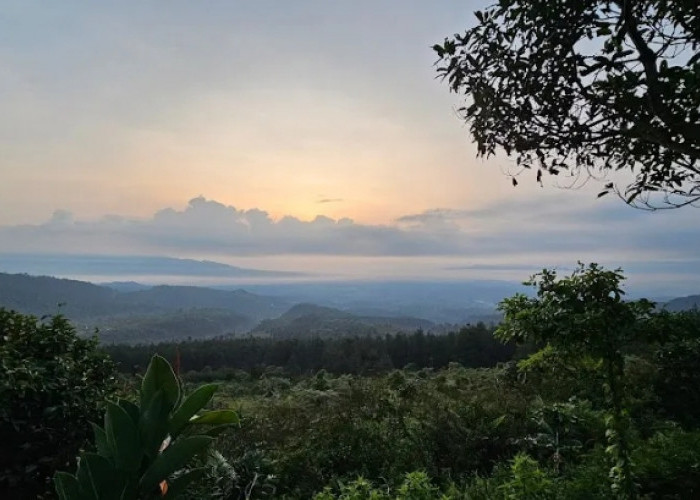 6 Rekomendasi Tempat Wisata Karawang yang Lagi Hits, Cocok Buat Healing Lebaran 2026 Bareng Keluarga 