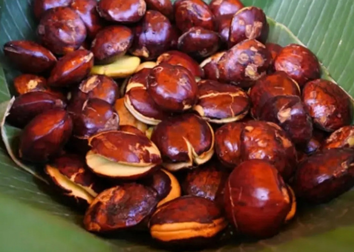 Harga Jengkol di Bekasi Meroket, Nyaris Setara Daging Sapi