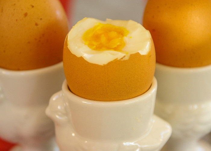 Cuma Makan Telur Rebus Tiap Pagi, Manfaatnya Bikin Kaget! Ini Penjelasan Ilmiahnya