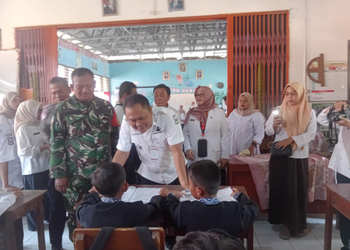 Wabup Maslani Tinjau Modul Pembelajaran Gratis di SDN Pinayungan II