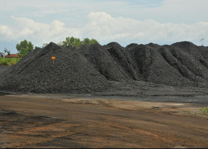 Mineral Kritis Jadi Penentu Daya Saing Ekonomi Indonesia