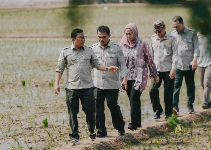 Plt Mentan Arief Sidak Kios Pupuk dan Petani Karawang, Ini Bocoran Temuannya