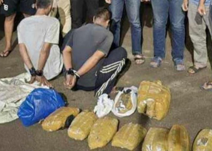 Dua Kurir Narkoba Antar Provinsi Ditangkap, Polisi Amankan 11 Kg Ganja