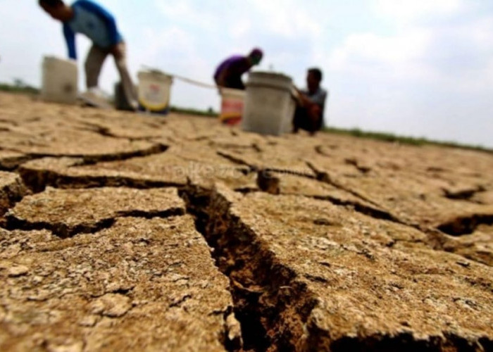 Dampak El Nino, BMKG Prediksi Kemarau di Jabar Berlangsung Lama