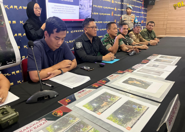 Polisi Tangkap Lima Pemburu Macan Tutul di Sanggabuana Karawang Selatan