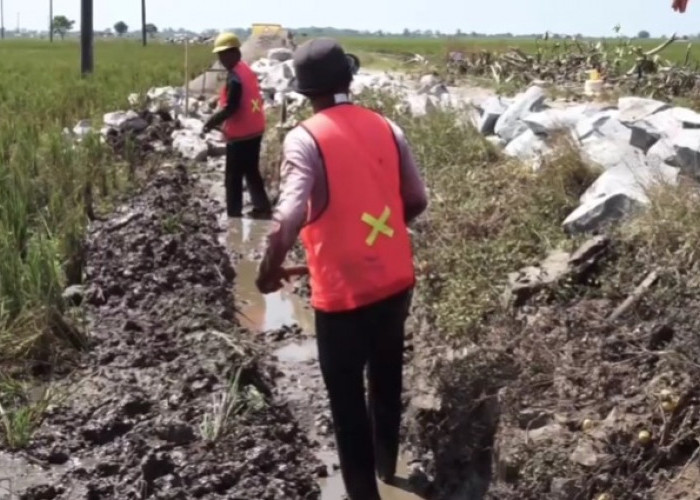 Dinas PUPR Karawang Tingkatkan Jalan Cilebar-Betokmati, Fokus pada Pemasangan TPT