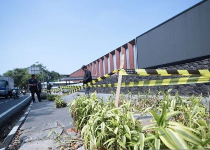 Penebangan 10 Pohon di Jalan Riau Bandung Berujung Perselisihan, Pemkot Telusuri Pengelola Padel