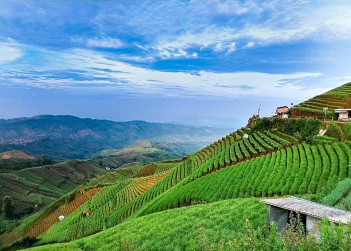 Rekomendasi Liburan Keluarga di Majalengka Dua Hari: Cocok untuk Menikmati Alam Kaki Gunung Ciremai