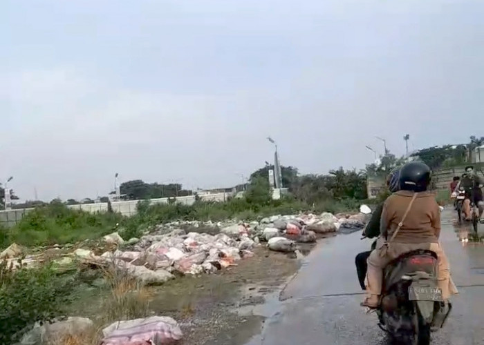 Lahan Eks Bangli di Cikut Berubah Jadi TPS Liar, Pernah Ditertibkan Demi Penataan Kawasan Justru Kembali Kumuh