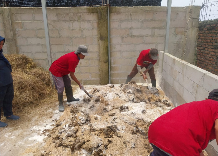 Peternak Karawang Dilati Menggunakan Pupuk Organik