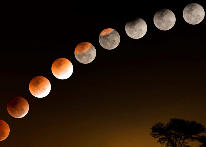 3 Jenis Gerhana Bulan, Berikut Jadwalnya Tahun 2024