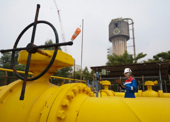 Dukung Ketahanan Pangan Nasional, Pertagas Pastikan Pasokan Gas Berkelanjutan untuk Industri Pupuk