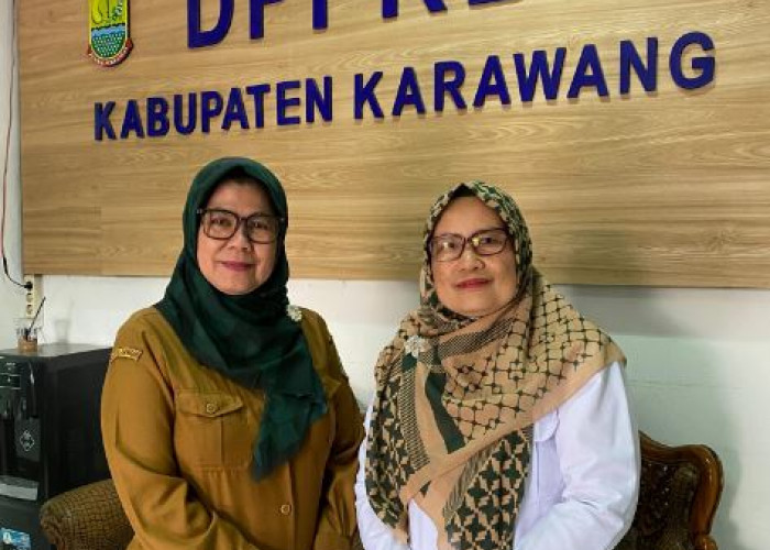 Inspektur BKKBN Pusat Jadikan DPPKB Karawang Percontohan Nasional, Ini Sebabnya.. 