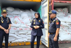 Bea Cukai Bongkar Modus Impor PT ILW, 194,9 Ton Beras Asal India Disamarkan Jadi Garam