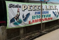 Rekomendasi 14 Pecel Lele di Jatimulya Tambun Selatan yang Bikin Orang Rela Makan Tengah Malam, Sambalnya Oke!