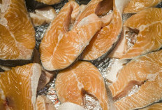 Salmon Ternyata Bukan Juaranya! 10 Makanan Kaya Omega-3 yang Kandungannya Lebih Tinggi dan Baik untuk Jantung