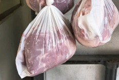 Terjawab Sudah! Ini Alasan Ilmiah Daging Kurban Sering Terasa Lebih Alot Dibanding Daging Pasar