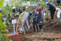 Pemprov Jabar Percepat Penghijauan Hulu Bandung, 12 Ribu Pohon Ditanam untuk Cegah Banjir