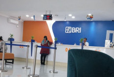 Tabel KUR BRI 2026 Terbaru Plafon Rp50 Juta Lengkap Cara Syarat Pengajuan, Cocok untuk Modal Usaha Mikro