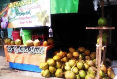 Daftar 11 Tempat Beli Es Kelapa Muda di Jatimulya Tambun Selatan yang Segar, Murah, dan Selalu Ramai Pembeli! 
