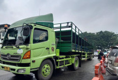 Puluhan Truk Bersumbu Besar Tiga atau Lebih Nekat Masuk Tol Japek