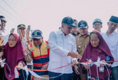 Disaksikan Bupati Karawang, Mak Resih dan Mak Halimah Resmikan Jembatan Harmoni Senilai Rp 2 Miliar