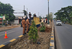 Disperkimtan Kabupaten Bekasi Bangun Taman Median Jalan Inspeksi Kalimalang Sepanjang 3,4 KM