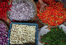 Harga Pangan Hari Ini: Cabai Rawit dan Bawang Merah Alami Kenaikan
