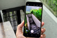 Rekomendasi 9 HP 3 Jutaan Terbaik 2026 dengan Kamera Mumpuni yang Layak Dipertimbangkan