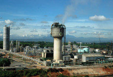 Pupuk Kujang Gandeng PLN EPI dan CISRI Kembangkan Green Hydrogen dari Biomassa