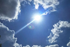 Waspada, Ternyata Inilah Pemicu Gula Darah yang Mengejutkan: Dehidrasi dan Diet Tidak Sehat