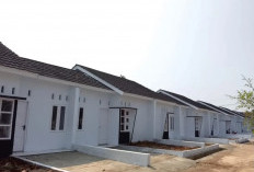 Gaji UMK Kerja di Cikarang dan Karawang, Mending Ngontrak atau Beli Rumah Subsidi?
