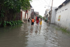 Drainase Tidak Terawat, Genangan Air Kerap Muncul Saat Hujan di Bekasi