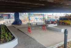 DLH Karawang Tuntaskan Taman Terpadu di Bawah Fly Over Cikampek, Masyarakat Bisa Nikmati RTH