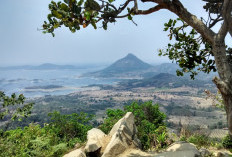 Skip Bandung Penuh Macet! Healing Lebaran di 12 Wisata Purwakarta Asik!