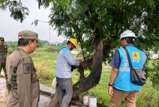 Satpol PP Karawang dan PLN Tertibkan kWh Meter Ilegal di Akses Tol Karawang Barat