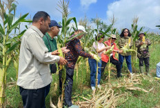 Reforma Agraria Cianjur: 980 Hektare Lahan Sengketa Mulai Jadi Sumber Ekonomi Warga