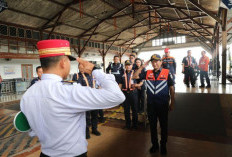 KNKT Turun Tangan Selidiki Penyebab Kecelakaan